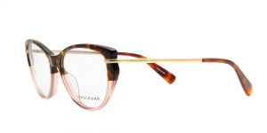 Arm Longchamp LO2629 690 54-16 140